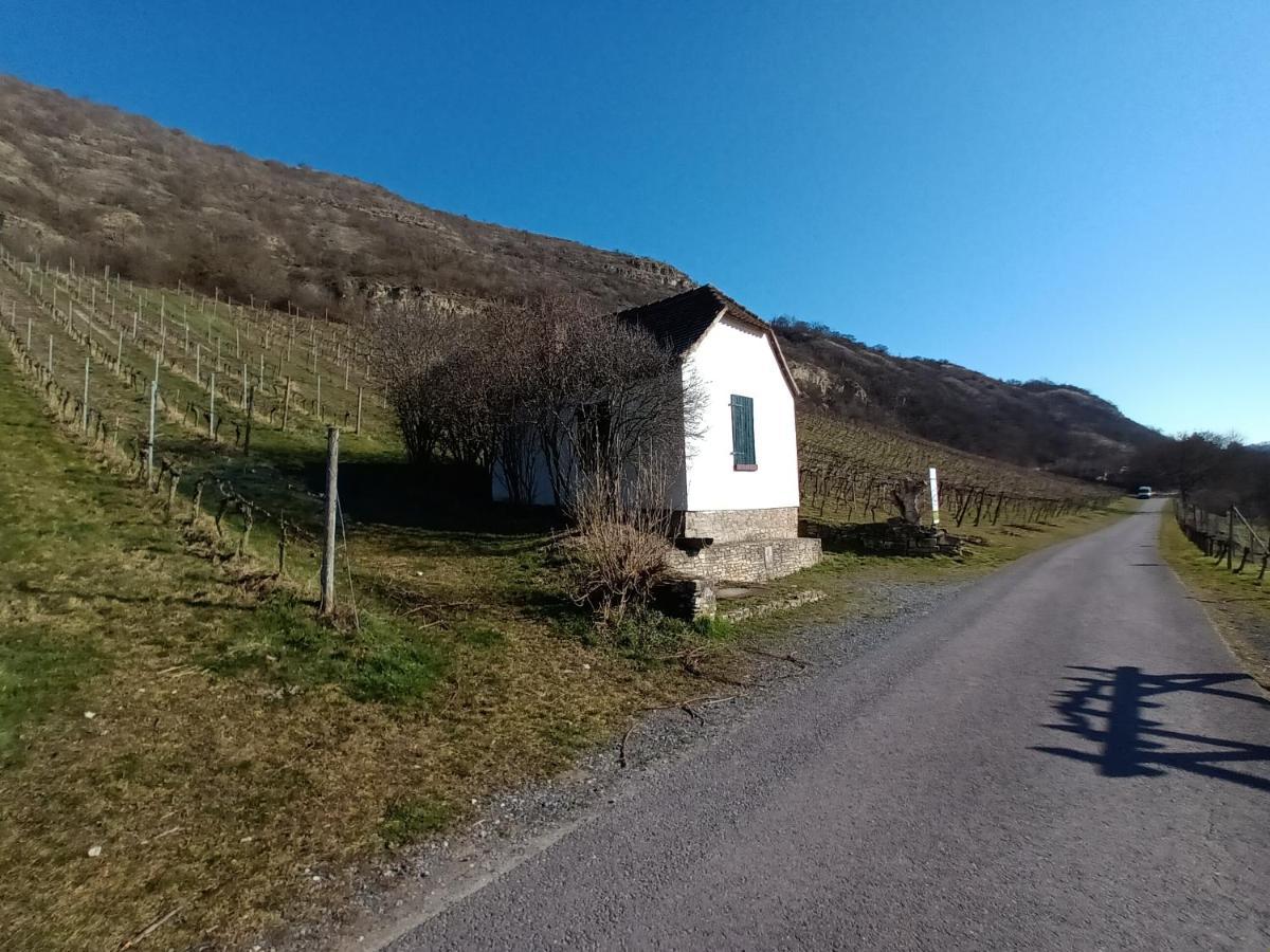 Ferienwohnung Naumburgliebe Naumburg  Dış mekan fotoğraf